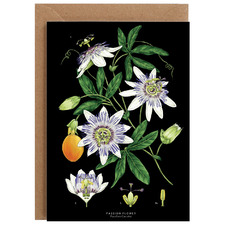Passion Flower Greeting Cards (Set of 10)