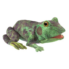 Kids' Frog Life Cycle Puppet