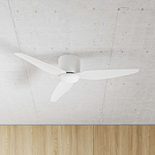 Whisper Low Profile DC Ceiling Fan with Light Kit
