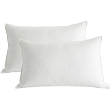 Micro-Plush Microfibre Standard Pillows (Set of 2)