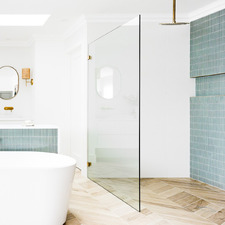 Nile Frameless Shower Screen Panel