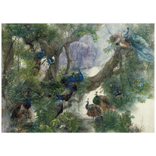 A Group Of Peacocks By The Lake Stretched Canvas Wall Art