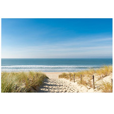 White Sand Walkway Beach & Ocean Canvas Wall Art