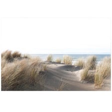 Sand Dune & Grass By The Beach Canvas Wall Art