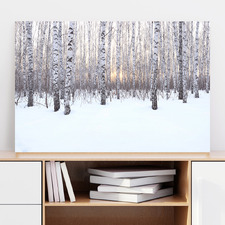 Birch Grove in Winter At Sunset Stretched Canvas Wall Art