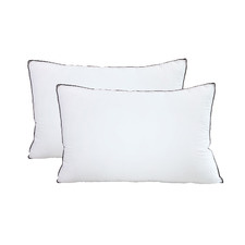 Casa Decor Silk & Microfibre Pillows (Set of 2)