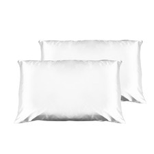Casa Decor Luxury Satin Standard Pillowcases (Set of 2)