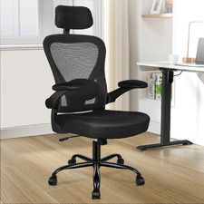 Hartmut High Back Mesh Office Chair