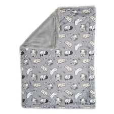 Kitten Around Cat Blanket