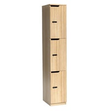 Gessner 3 Door Locker