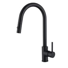 Rosa Pull-Out Kitchen Sink Mixer