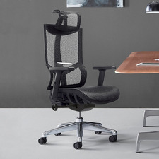 Ayden Ergonomic Office Chair