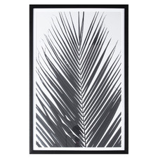 Monochrome Palm Framed Printed Wall Art