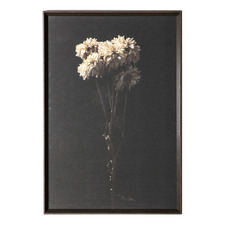 Dark Bouquet Stem Framed Paper Print Wall Art