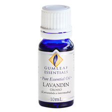 10ml Lavandin Grosso Essential Oil