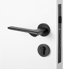 Pristine Entrance Door Handle