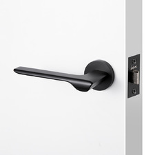 Pristine Passage Door Handle