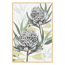 White Waratah I Printed Wall Art