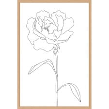 Peony Lines Printed Wall Art