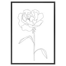 Peony Lines Printed Wall Art
