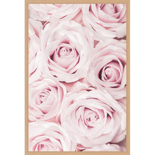 Pink Roses II Printed Wall Art
