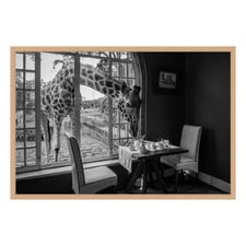 Breakfast Time Printed Wall Art