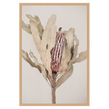 Banksia Printed Wall Art