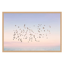 Sunset Flight Printed Wall Art