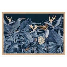 Blue Rainforest Birds Printed Wall Art