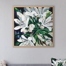 White Agapantha Printed Wall Art