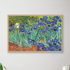 Van Gogh Irises Canvas Wall Art