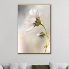 Heavenly Cosmos Canvas Wall Art