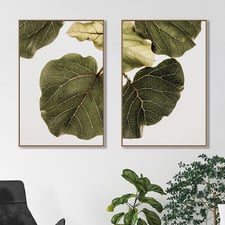 2 Piece Leaf Vein Canvas Wall Art Set