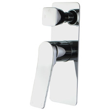 Rushy Shower Mixer with Diverter