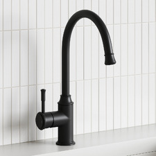 Constance Brass Gooseneck Kitchen Mixer