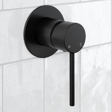 Avalon Mini Brass Shower Mixer with 80mm Backplate