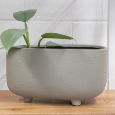 Petra Terracotta Planter Pot