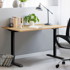 Alwyn 120cm Electric Sit & Stand Desk