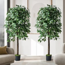 150cm Potted Faux Ficus Trees (Set of 2)