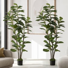 150cm Potted Faux Fiddle Leaf Fig Trees (Set of 2)
