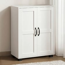 Colin 2 Door Storage Cabinet