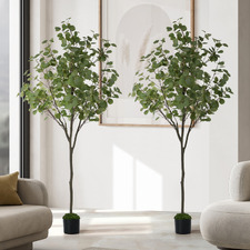 150cm Potted Faux Eucalyptus Trees (Set of 2)