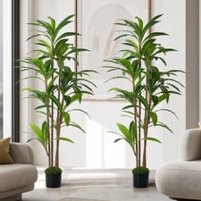 150cm Potted Faux Dracaena Trees (Set of 2)