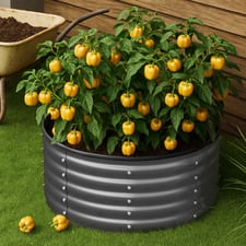 Dante Round Galvanised Steel Garden Bed