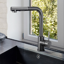 Galen Pull-Out Kitchen Sink Mixer