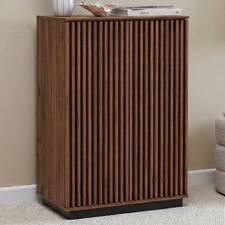 Armin Shoe Cabinet