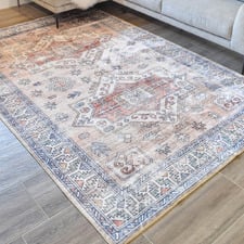 Andro Machine Washable Rug