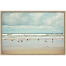 Beachcombing Framed Print