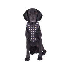 Black Metallic Cross Dog Harness