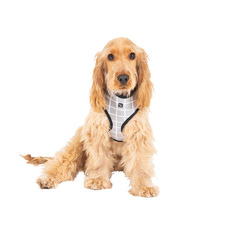 Grey Check Dog Harness